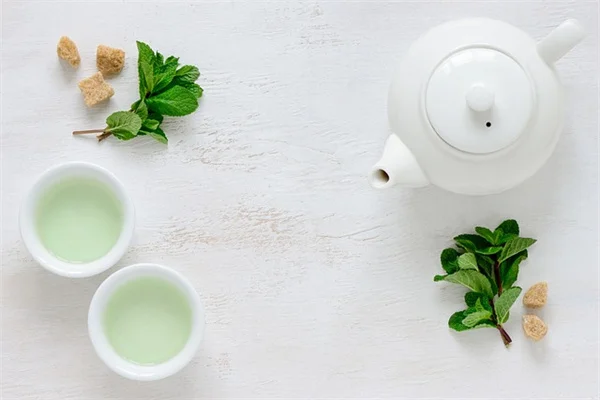 ソーラー噴水で作る植物付きDIY水景、夏の庭が一気に華やかに