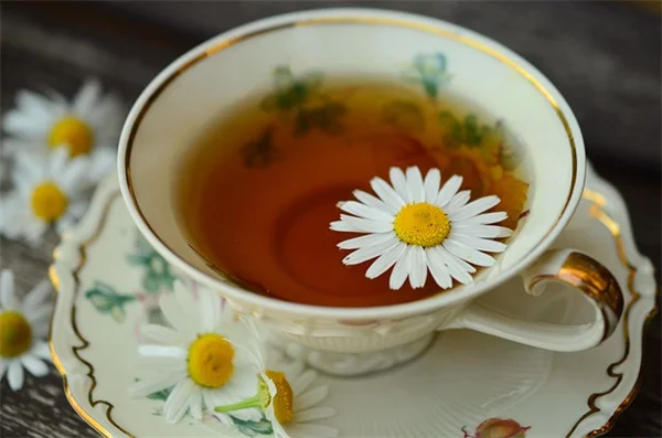 植物の水やりでやってはいけない時間帯5選